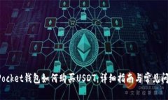 TokenPocket钱包如何购买USDT：详细指南与常见问题