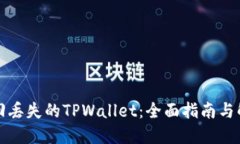 如何找回丢失的TPWallet：全面指南与解决方案