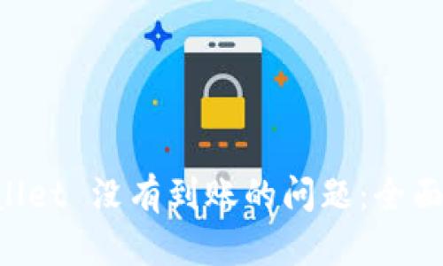 如何解决扫码 TPWallet 没有到账的问题：全面指南与普遍误区解析