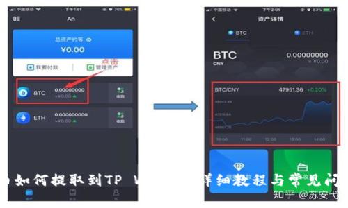 Doge币如何提取到TP Wallet：详细教程与常见问题解答