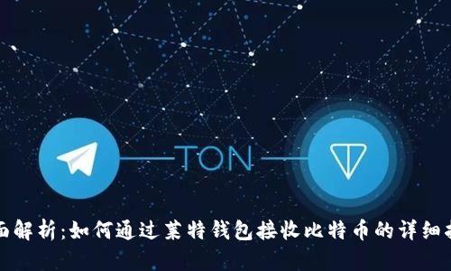 全面解析：如何通过莱特钱包接收比特币的详细指南