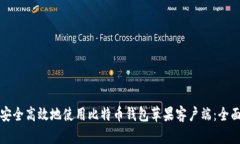 如何安全高效地使用比特币钱包苹果客户端：全