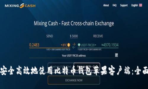 如何安全高效地使用比特币钱包苹果客户端：全面指南