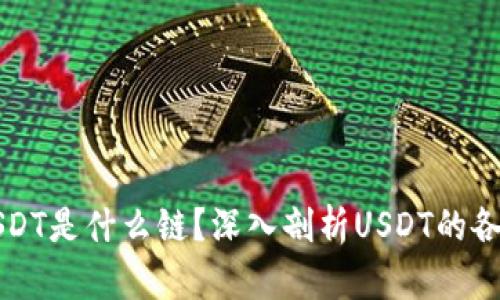 TP钱包中的USDT是什么链？深入剖析USDT的各种链及其应用