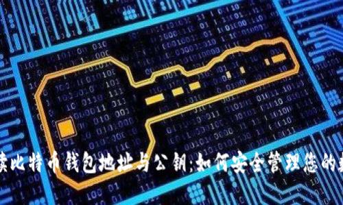 深入解读比特币钱包地址与公钥：如何安全管理您的数字资产