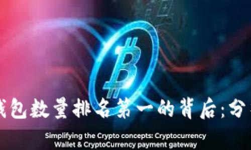 揭秘比特币钱包数量排名第一的背后：分析与前景展望