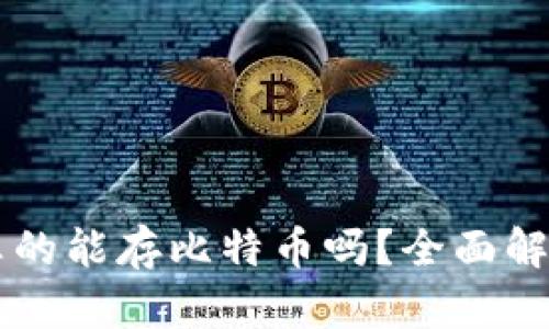 以太坊钱包真的能存比特币吗？全面解析及使用指南