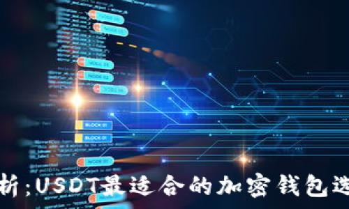   
全面解析：USDT最适合的加密钱包选择指南