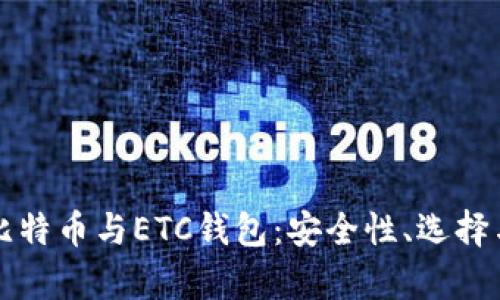 深入解析比特币与ETC钱包：安全性、选择与使用指南