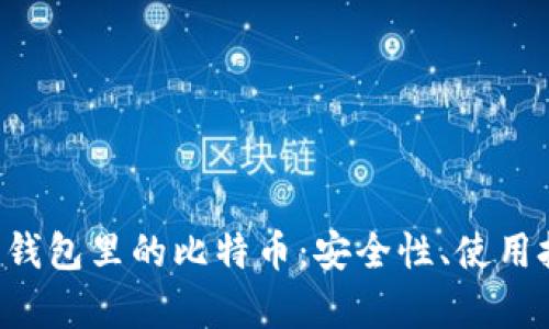 全面解析安网3钱包里的比特币：安全性、使用技巧与市场前景