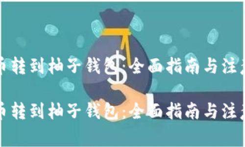 比特币转到柚子钱包：全面指南与注意事项

比特币转到柚子钱包：全面指南与注意事项