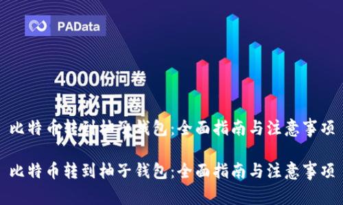 比特币转到柚子钱包：全面指南与注意事项

比特币转到柚子钱包：全面指南与注意事项