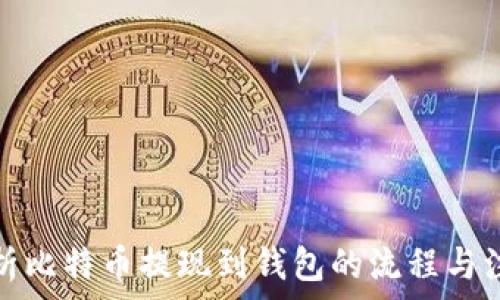 

全面解析比特币提现到钱包的流程与注意事项