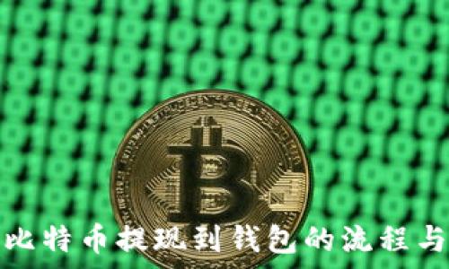  

全面解析比特币提现到钱包的流程与注意事项