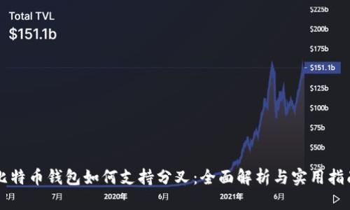 比特币钱包如何支持分叉：全面解析与实用指南