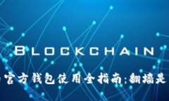  比特币官方钱包使用全指南：翻墙是否必需？