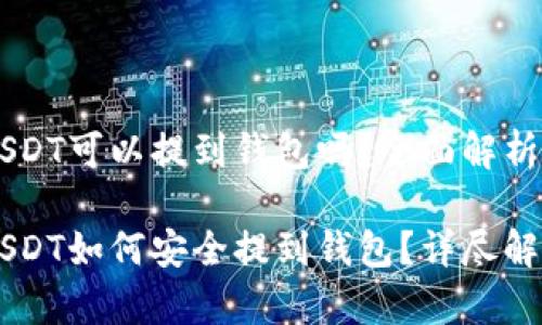 币币帐户的USDT可以提到钱包吗？全面解析与安全指南

币币帐户的USDT如何安全提到钱包？详尽解析及注意事项