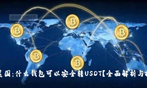 在美国：什么钱包可以安全转USDT？全面解析与推荐
