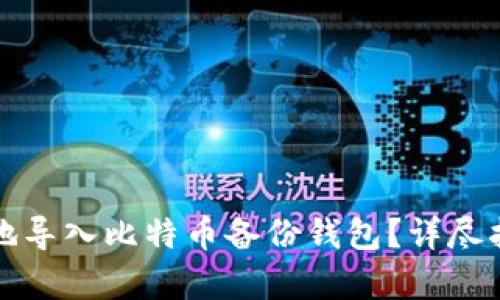 如何安全有效地导入比特币备份钱包？详尽指南与实用技巧