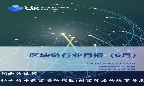 示例和关键词

揭秘比特币最富有的钱包：财富背后的故事与启示