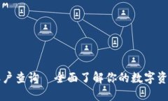 区块链钱包账户查询—全面了解你的数字资产安