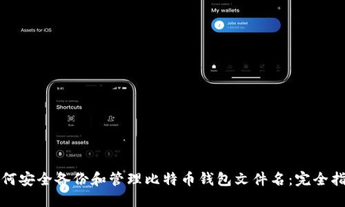如何安全备份和管理比特币钱包文件名：完全指南