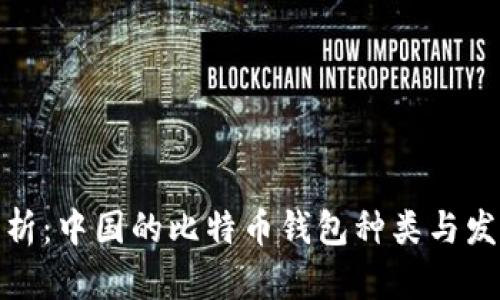 全面解析：中国的比特币钱包种类与发展趋势