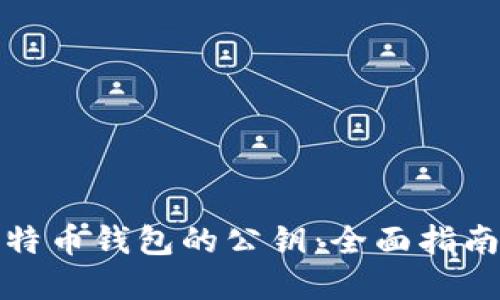 如何找到比特币钱包的公钥：全面指南和实用技巧